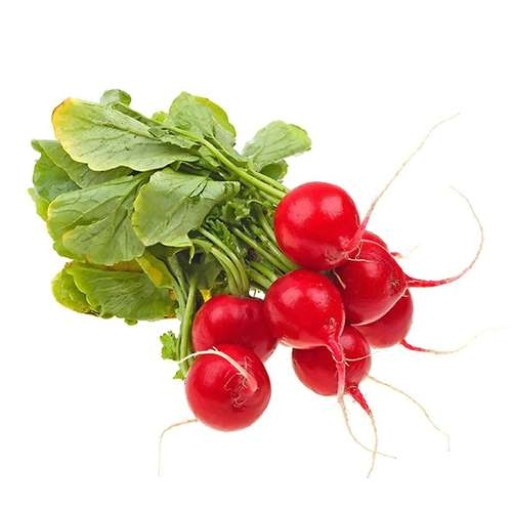  عکس تربچه